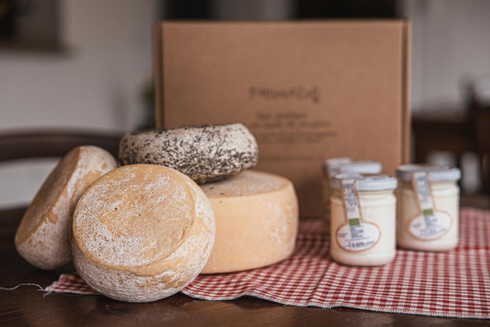 Agriturismo Borg Da Ocjs Medea エクステリア 写真