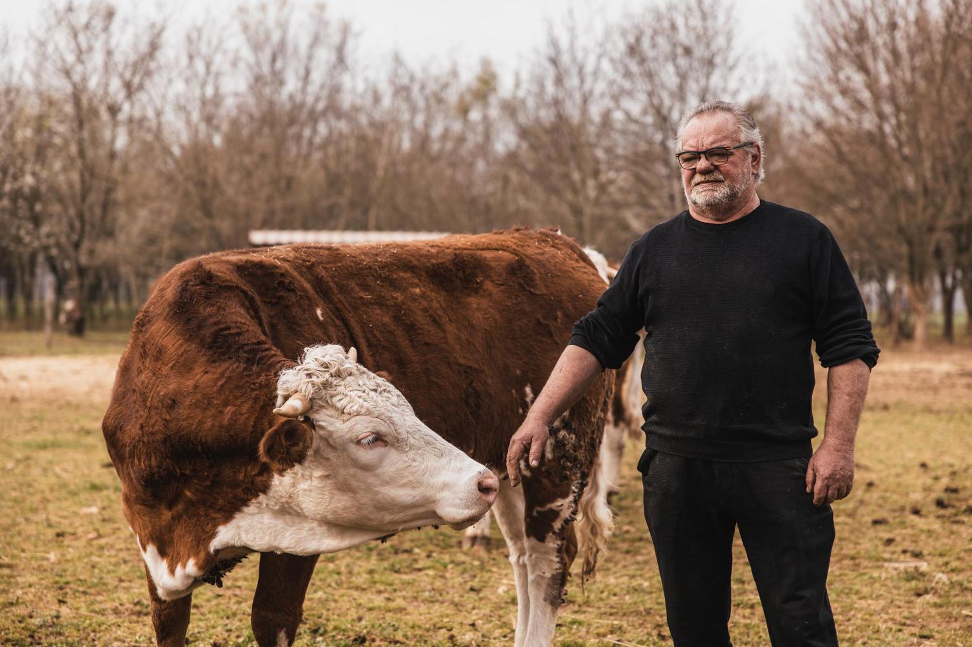 Agriturismo Borg Da Ocjs Medea エクステリア 写真