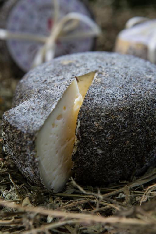 Agriturismo Borg Da Ocjs Medea エクステリア 写真