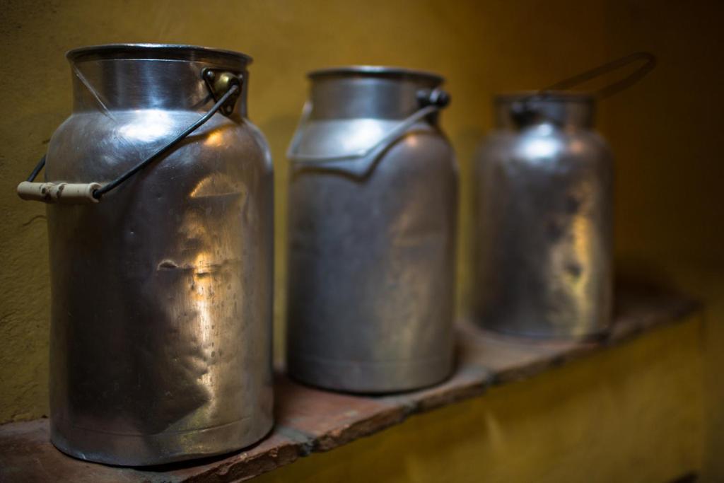 Agriturismo Borg Da Ocjs Medea 部屋 写真