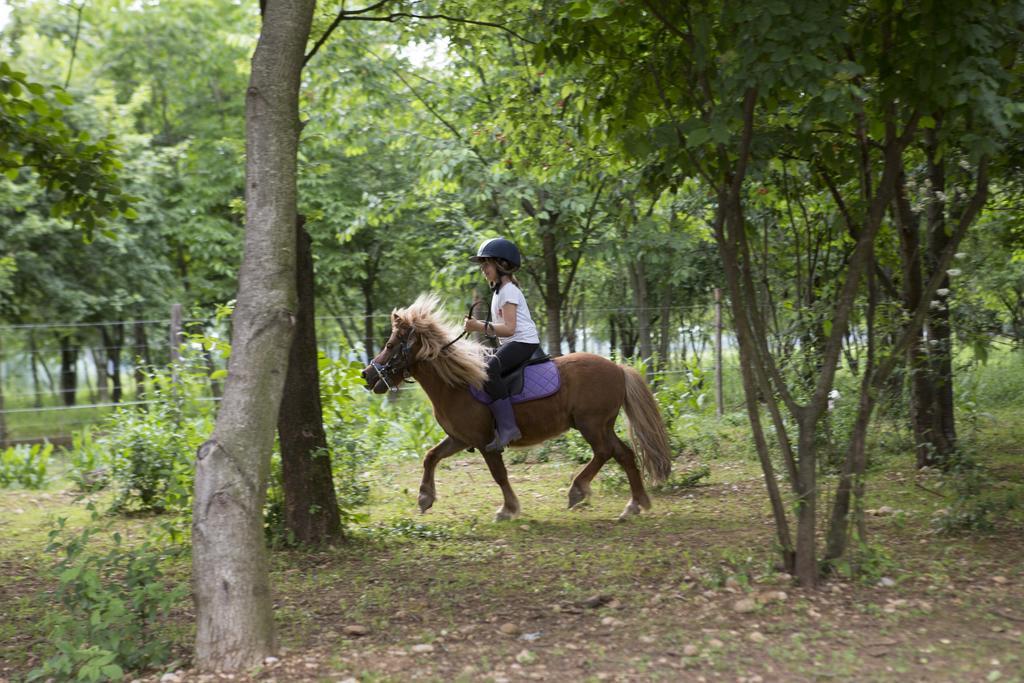 Agriturismo Borg Da Ocjs Medea エクステリア 写真